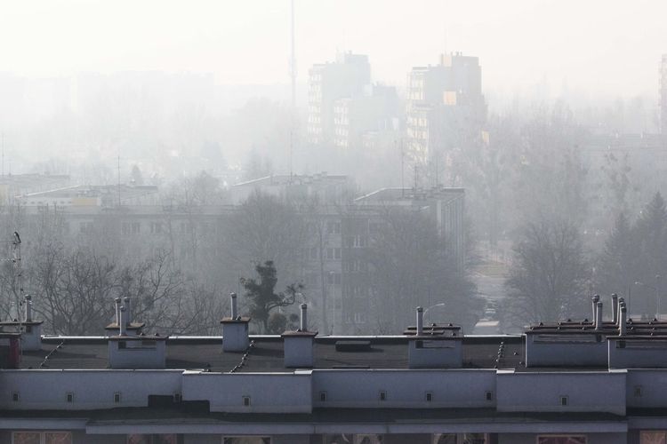 Jakość powietrza we Wrocławiu znów jest zła, Magda Pasiewicz