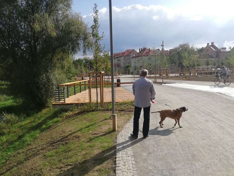 Na Przedmieściu Oławskim stanęły psie pisuary. „Wzorowaliśmy się na zagranicznych rozwiązaniach” [ZDJĘCIA], Michał Hernes