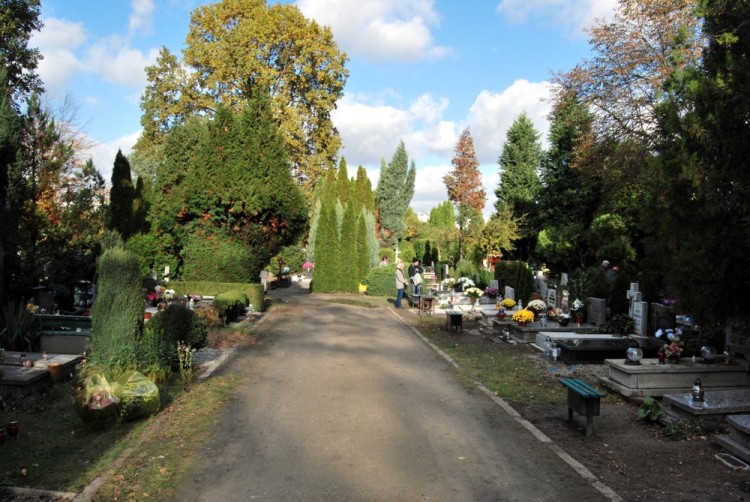 Wrocławianie odwiedzają groby swoich bliskich (ZOBACZ ZDJĘCIA), Bartosz Senderek