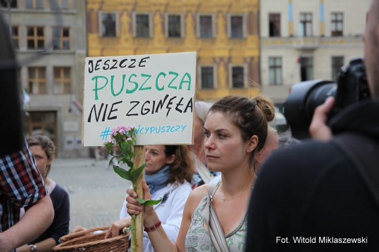 Na wrocławskim rynku protestowali w obronie puszczy [ZOBACZ ZDJĘCIA], Witold Miklaszewski / mat. prasowe