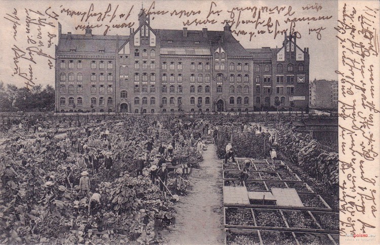 Rok 1913, fotopolska.eu