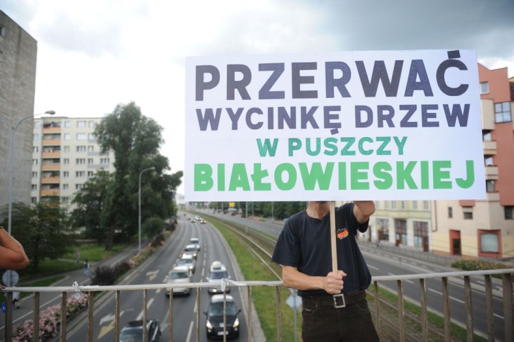 Wrocław: kolejny protest przeciwko wycince Puszczy Białowieskiej [ZOBACZ ZDJĘCIA], Wojciech Bolesta