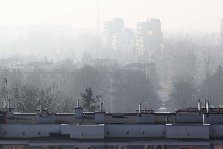 Smog nad Wrocławiem. Jakość powietrza bardzo zła, normy przekroczone kilkukrotnie, Magda Pasiewicz