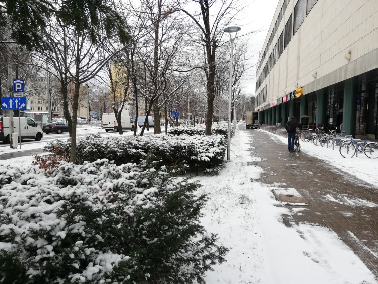 We Wrocławiu zima zaskoczyła drogowców! „Nic nie wskazywało na konieczność prewencyjnego użycia sprzętu”, Bartosz Senderek