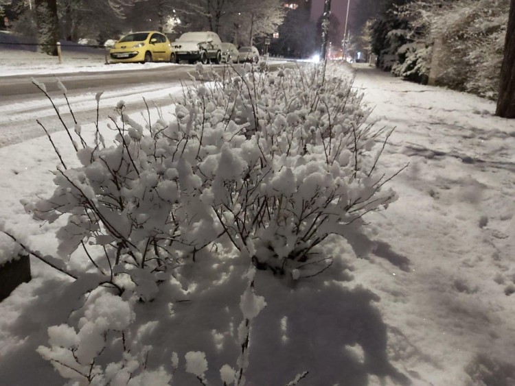 Intensywne opady śniegu. We Wrocławiu zrobiło się biało [DUŻO ZDJĘĆ], Red
