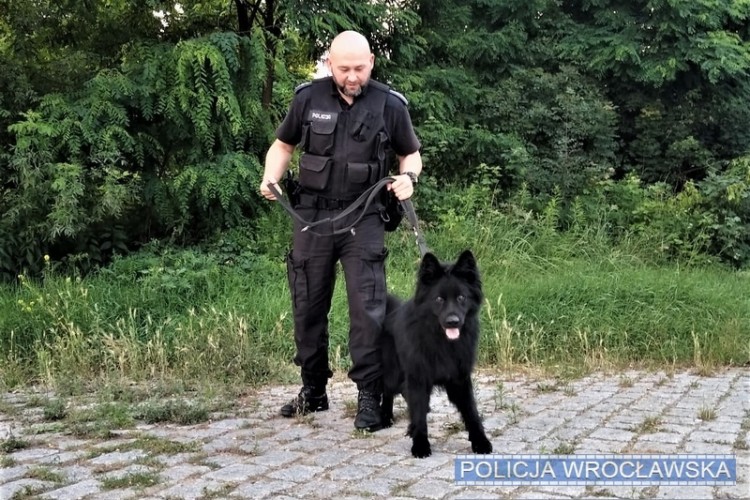Bohater na 4 łapach. Ten pies uratował 84-latka! [ZDJĘCIA], KMP we Wrocławiu