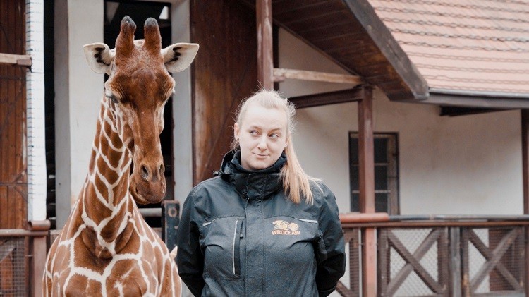 Narodziny we wrocławskim zoo. Mała żyrafa otrzymała imię Inuki [ZDJĘCIA], ZOO Wrocław