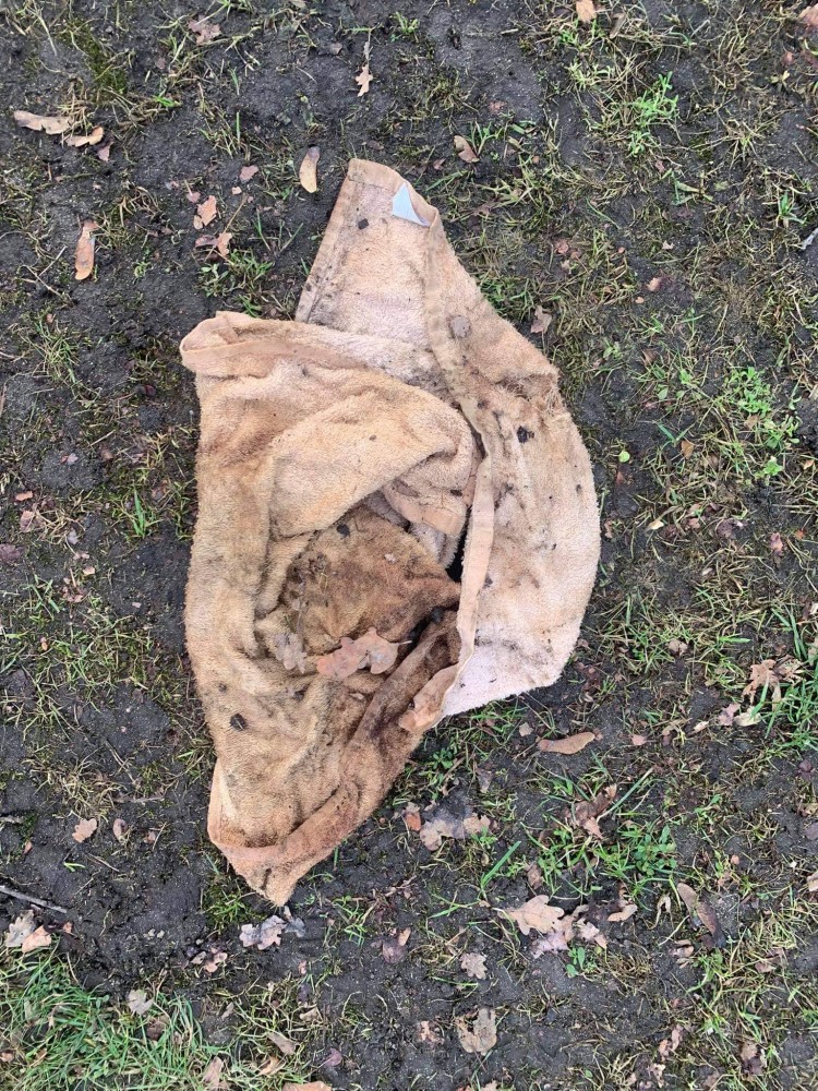 Wrocław: Makabryczne odkrycie w parku. Ktoś okaleczył i zabił psa, Ekostraż