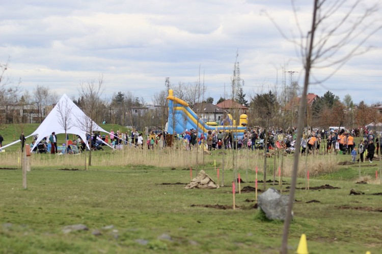 WROśnij we WROcław. Mieszkańcy posadzili drzewka w Parku Tysiąclecia, Jakub Jurek