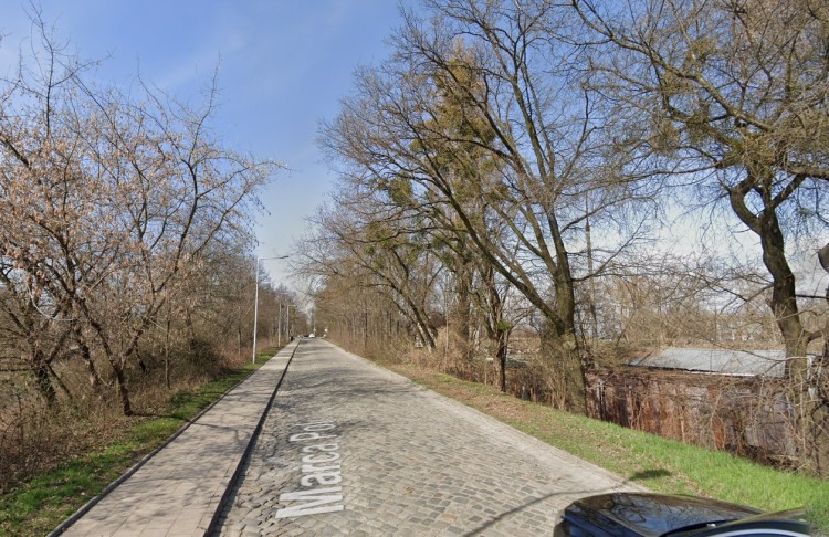 Wrocław: Rusza remont ulicy prowadzącej do Olimpia Port. Ale po drodze rośnie drzewo, Google Maps