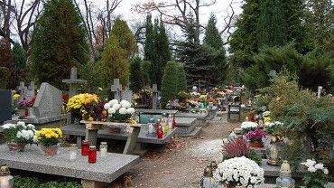 Wrocław: jak dojechać na cmentarze? (KIEROWCY, PASAŻEROWIE MPK)