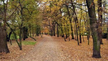Wrocław: w tych parkach będzie jasno nawet w nocy