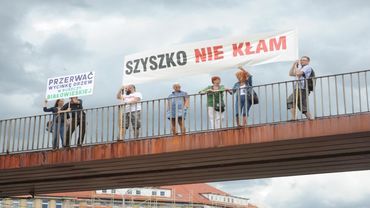 Wrocław: kolejny protest przeciwko wycince Puszczy Białowieskiej [ZOBACZ ZDJĘCIA]