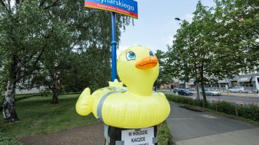 We Wrocławiu stanął pomnik „gumowej kaczki”. O co chodzi? [ZDJĘCIA]