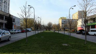 Wrocław: napad na kantor przy Hirszfelda