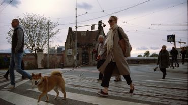 Jeden dzień z psem. Projekt fotograficzny Rosjanki z Wrocławia [ZDJĘCIA]