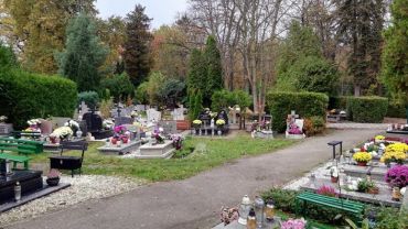 Nowy cmentarz komunalny we Wrocławiu. 87 tys. grobów na 30 hektarach
