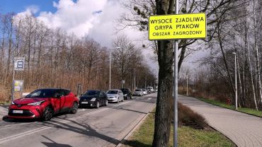 Ptasia grypa we Wrocławiu. Siedem osiedli w obszarze zagrożonym [ZDJĘCIA]
