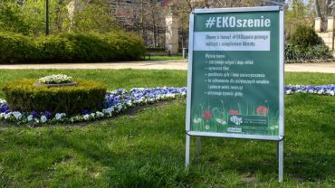 Wrocław zapowiada ekologiczne koszenie traw. Rusza akcja #EKOszenie