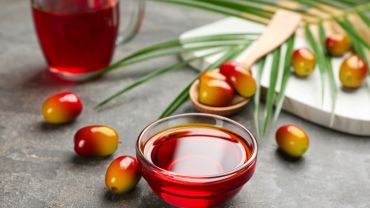 Olej palmowy bez tajemnic – poznaj fakty i ciekawostki