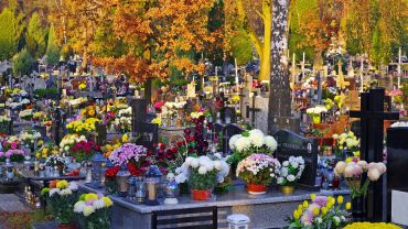 Cmentarze we Wrocławiu - kto znany jest na nich pochowany? To wielkie nazwiska!