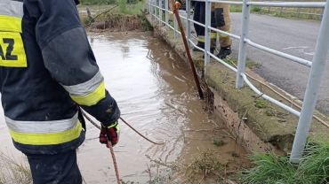 Wrocław: Wysoki poziom wody w rzece. IMGW rozważa ogłoszenie ostrzeżenia