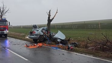 Dramatyczny wypadek na Dolnym Śląsku. Auto rozpadło się na drzewie. Zginął młody kierowca