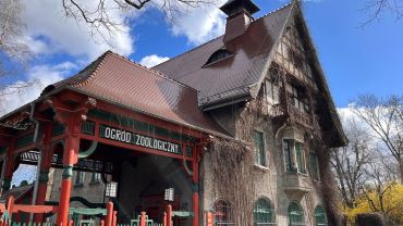 Wrocław: Kolejna inwestycja w zoo. Będzie remont budynku dyrekcji
