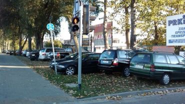 Wrocław: W tych miejscach kierowcy parkują jak chcą. Te ulice królują!
