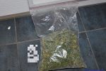 Wrocław: młody mężczyzna może trafić do więzienia za 13 krzewów marihuany [FOTO, WIDEO], Dolnośląska Policja