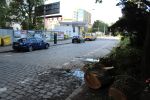 Masywna brzoza runęła na ulicę przy Placu Grunwaldzkim [ZDJĘCIA], 
