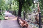 Wielka nawałnica przeszła przez Wrocław - zalane drogi, połamane drzewa [ZDJĘCIA], 