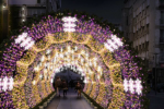 Wrocław: tak będzie wyglądała tegoroczna iluminacja świąteczna [WIZUALIZACJE], 