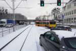 Wrocław: komunikacja autobusowa ulega pod naporem zimy, Bartosz Senderek