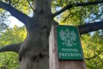 Wrocław robi porządek z pomnikami przyrody. Rada miejska przyjęła 35 uchwał, Jakub Jurek