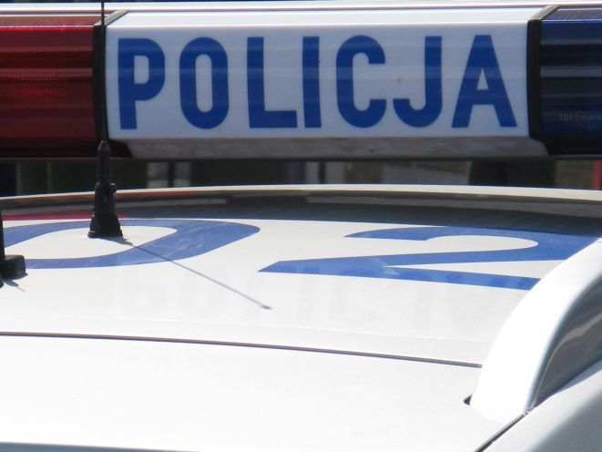 Policjanci odkryli pod Wrocławiem dziuplę z częściami aut kradzionych we Włoszech i Francji, archiwum