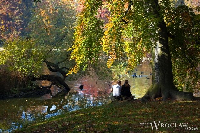 Najpilniejsza potrzeba - zdaniem mieszkańców Wrocławia - to więcej parków