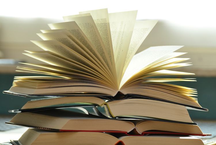 Te książki powalczą o Nagrodę Wielkiego Kalibru i 25 tys. zł, Fot. ilustracyjne/pixabay