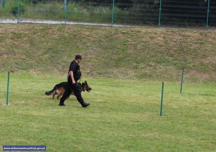 Najlepsze psy dolnośląskiej policji spotkały się we Wrocławiu, Dolnośląska Policja