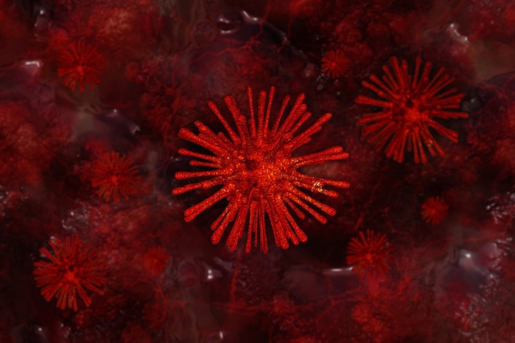 Koronawirus na Dolnym Śląsku. Znów ponad 2 tys. nowych zakażeń [18.11.2020], pixabay.com