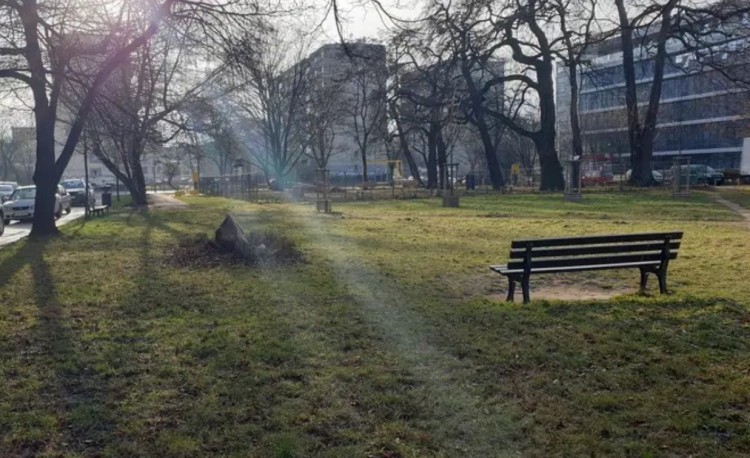 Tutaj powstaną nowe parki, skwery i zieleńce we Wrocławiu, ZZM