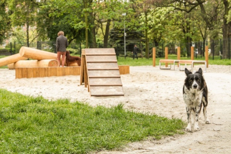 Tutaj powstaną nowe parki, skwery i zieleńce we Wrocławiu, UMWr