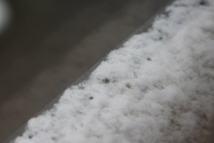 Deszcz, śnieg i oblodzenie. Zmiana pogody we Wrocławiu, Jakub Jurek
