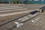 Akcja malowania ostrzeżeń na przejściach dla pieszych. „Odłącz się” i żyj!, Młody Dolny Śląsk