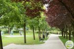 Tutaj powstaną nowe parki, skwery i zieleńce we Wrocławiu, ZZM