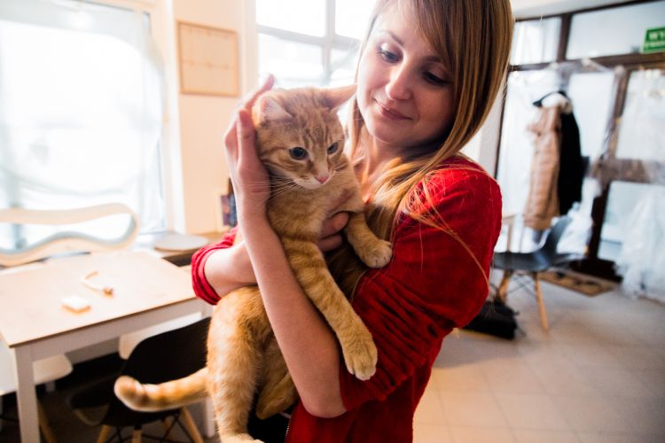 Kot cafe - nietypowa kawiarnia dla miłośników kotów, Magda Pasiewicz