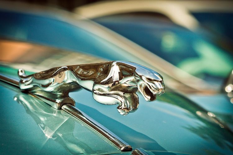 Wrocławski magistrat sprzedaje Jaguara bez dokumentów i kluczyków, pixabay.com