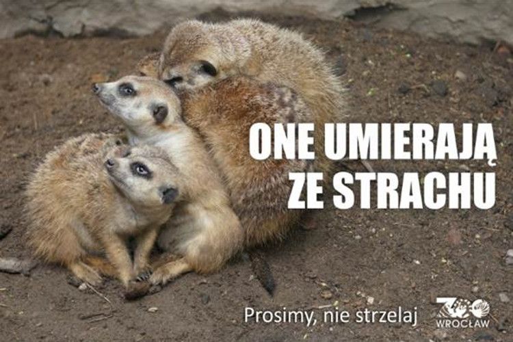 Zwierzęta z wrocławskiego zoo czeka traumatyczna noc!, ZOO Wrocław