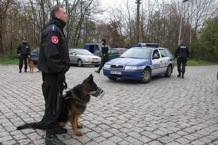 Policyjny pies odnalazł przy cmentarzu rannego mężczyznę, 0