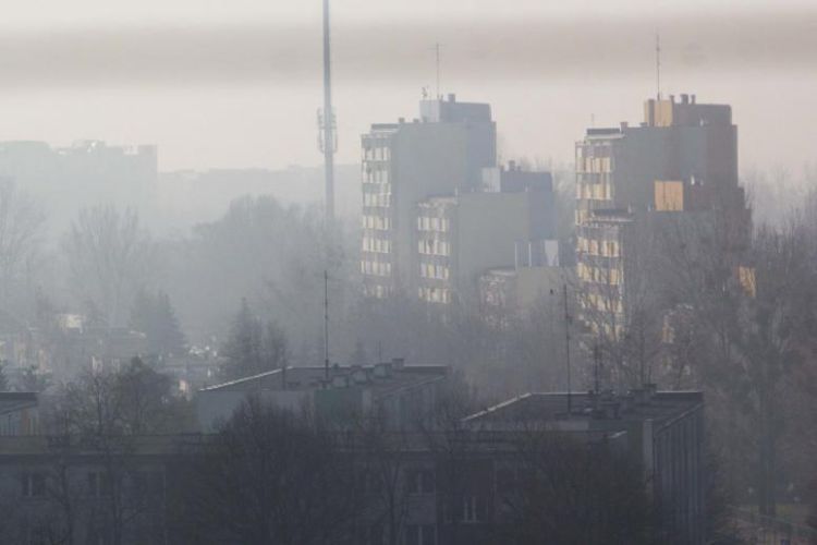 Smog we Wrocławiu. Mieścimy się w średniej rocznej, ale sezonowo jest źle, Magda Pasiewicz